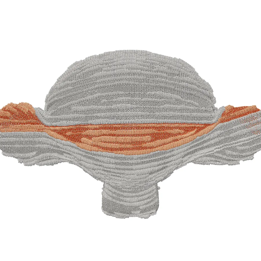 Suzanne from behind in the Fabric view, with courses 466 to 523 in two shades of orange: a band across the back of the head, deepest in the middle and rising behind each ear.