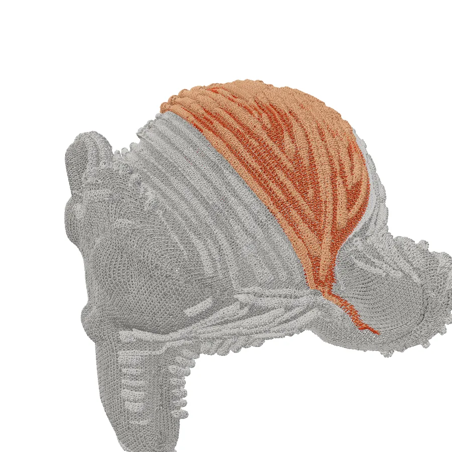Suzanne in the Fabric view, seen from the side, with courses 312 to 380 in two shades of orange: they fan out from beside the ear over the top of the head.